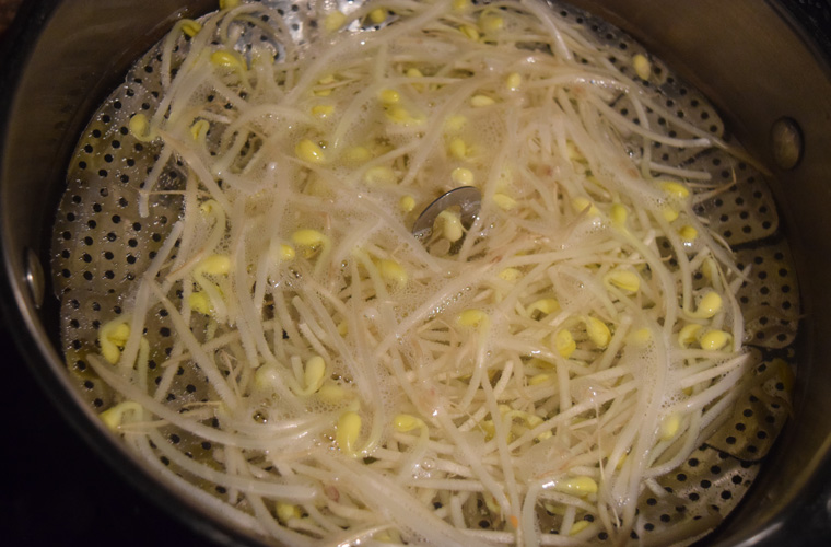 2-padthai-sprouts