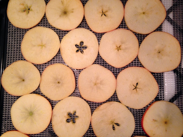 dehydrator-apples