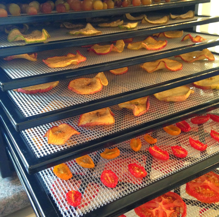 Food Dehydration 101 A Giveaway Recipe By Cookeatshare