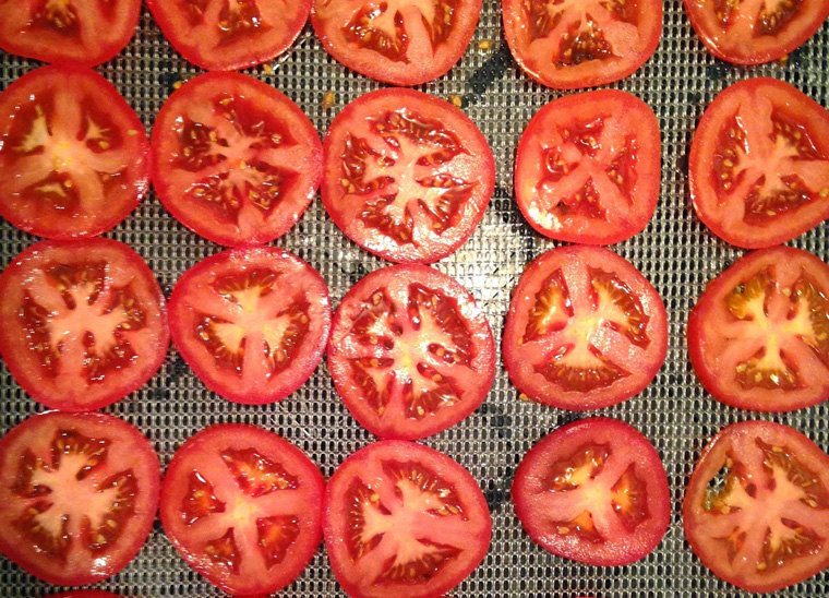 dehydrator-tomatos